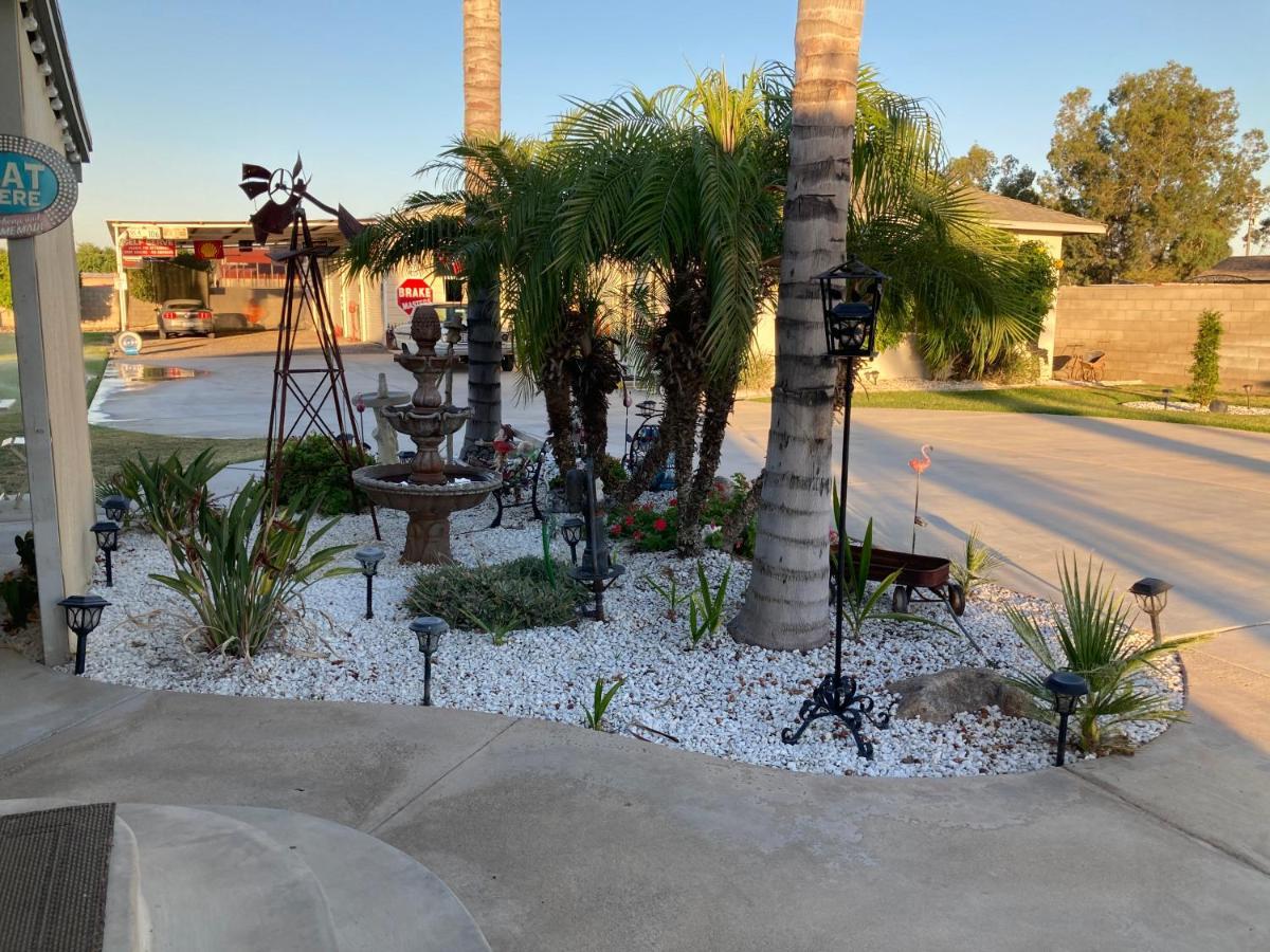 My Oasis Apartment